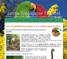 Buchsbaum Buxus Sempervirens Var Arborescens Stock Photo Alamy