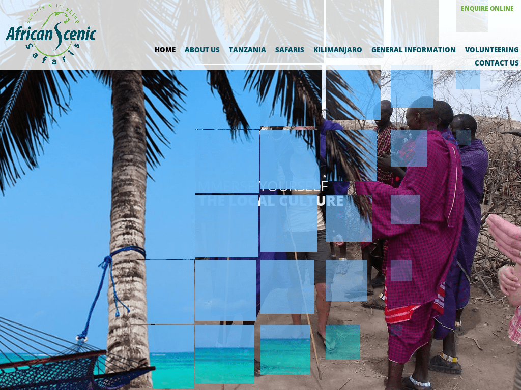 African Scenic Safaris Competitors Revenue And Employees