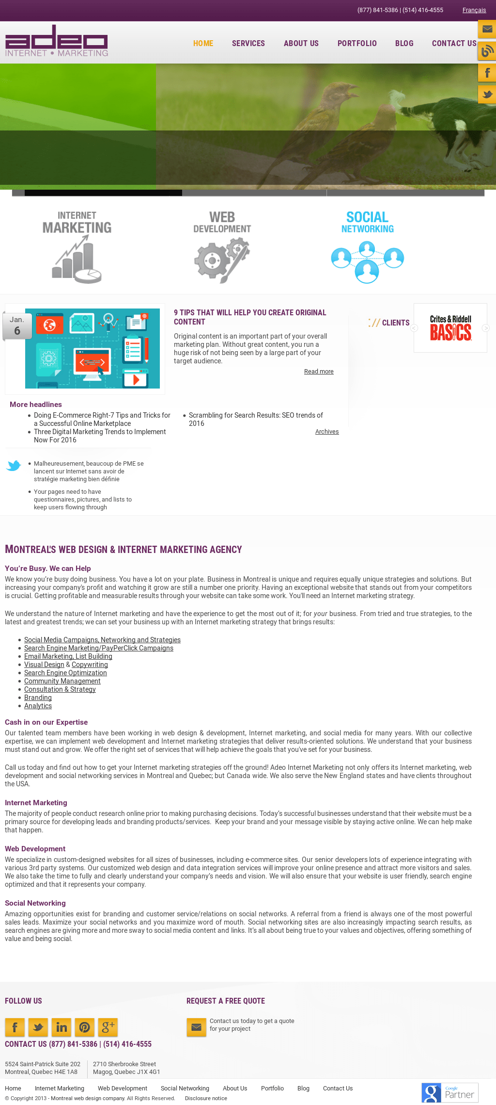 Adeo Internet Marketing Competitors Revenue And Employees