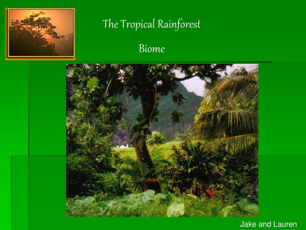 Location of tropical rainforest biome