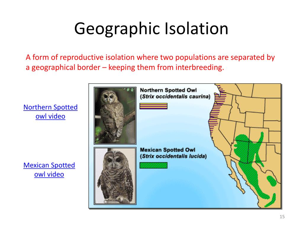 PPT - Population Evolution PowerPoint Presentation, free ...