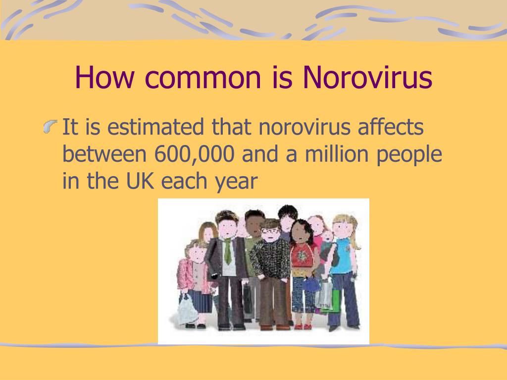 Noroviruses are covered by two layered proteinaceous domains, an outer protruding (p) domain and an inner shell (s) domain. PPT - NOROVIRUS PowerPoint Presentation, free download
