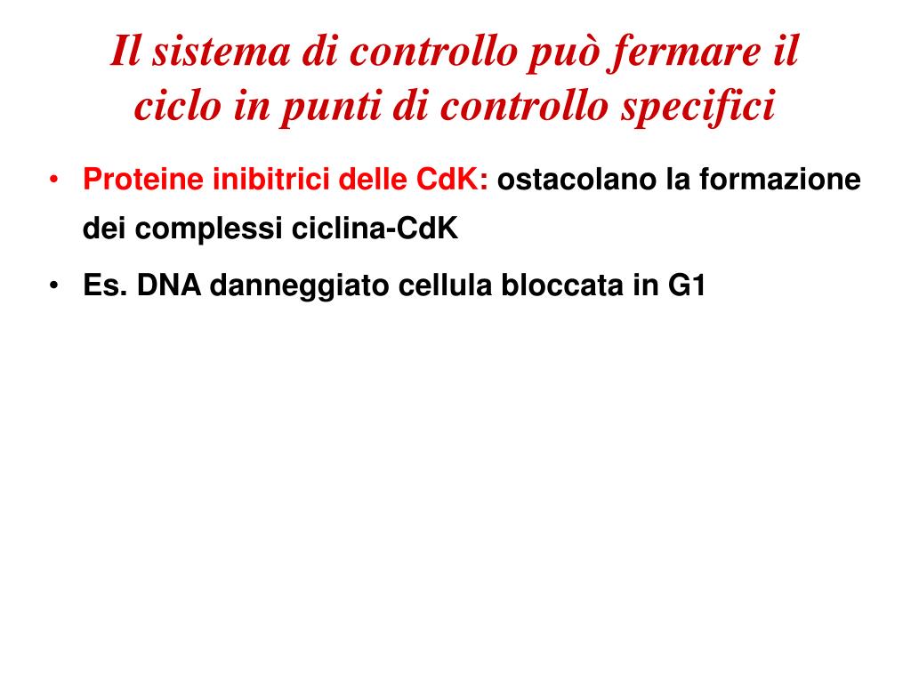 Ppt - Ciclo Cellulare Powerpoint Presentation, Free Download - Id:4116913 768_x_1024_jpg
