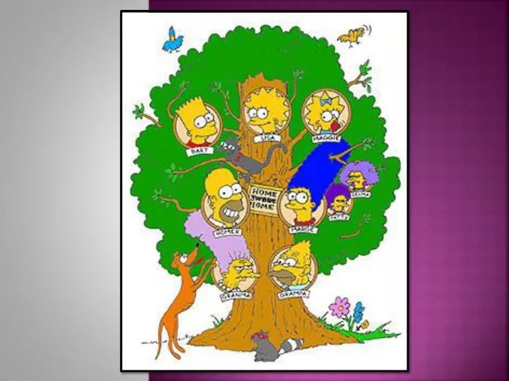 Future Simpsons Family Tree Hd Png Download 879x1057 836237 Pngfind