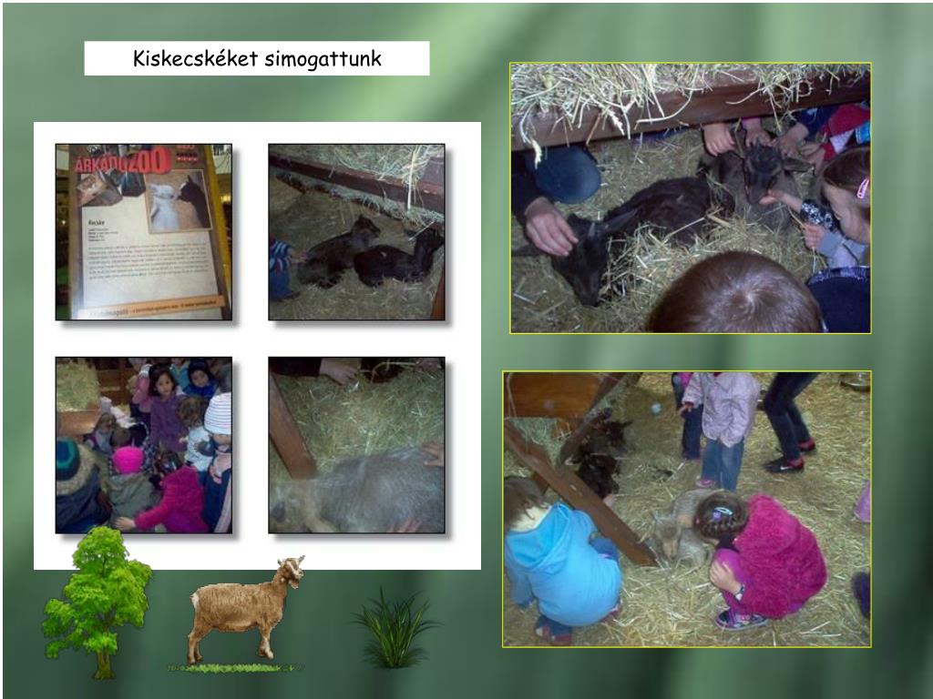 Ppt Kozepso Csoport Fold Modul 2012 Aprilis 02 Majus 31 Powerpoint Presentation Id 4886647