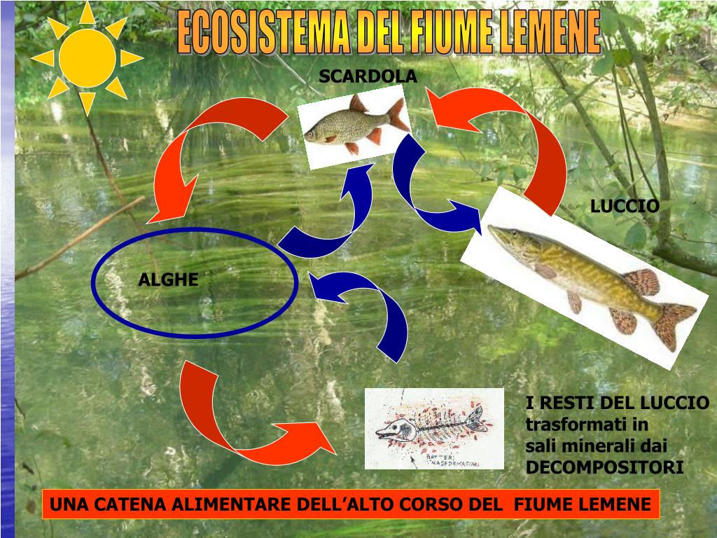 Gratuito Download immagini Lessons Tes Teach aggiornato saluti