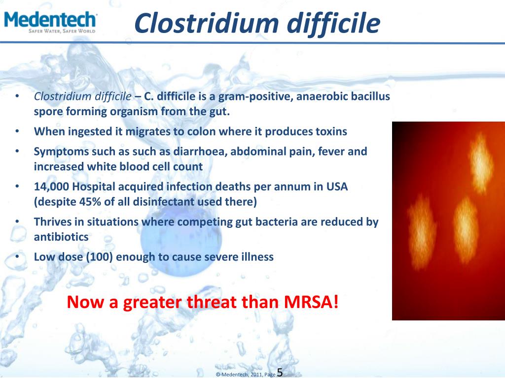 Clostridium Difficile 中文clostridium Mrsysy