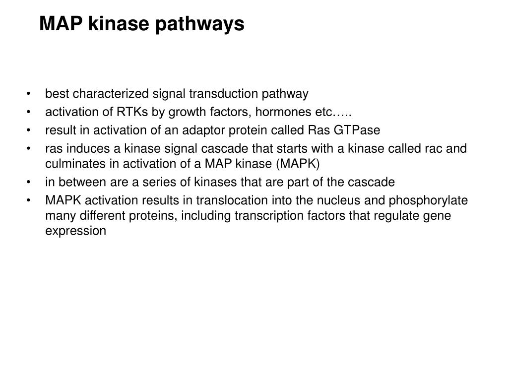 PPT Receptor Ligand Cell Signaling Adhesion Map Kinase Pathways L 