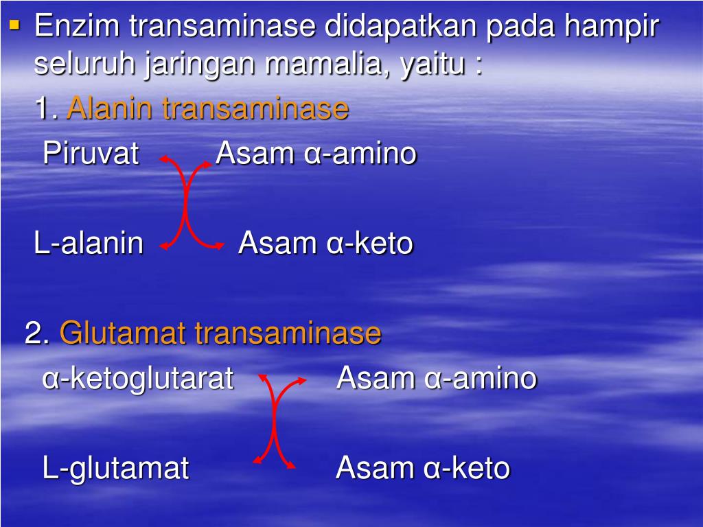 Beli produk farmasi & suplemen kesehatan hanya di blibli. Ppt Metabolisme Protein Dan Asam Amino Powerpoint Presentation Free Download Id 5333367