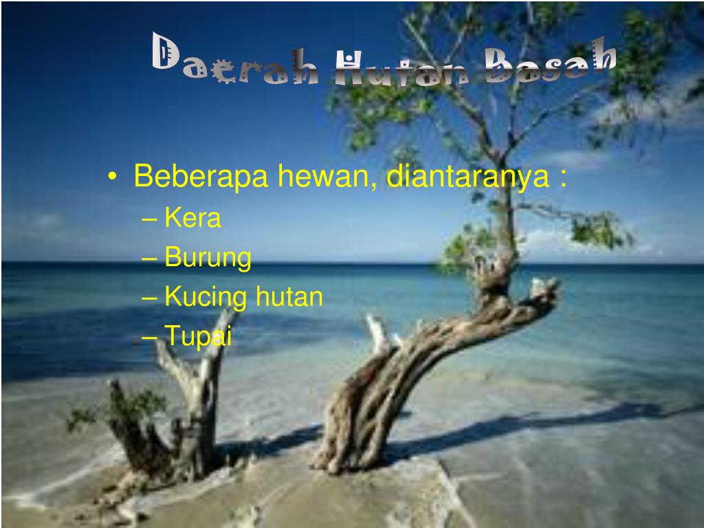 How to draw grizzly panda and ice bear from we bare bears cartoon . PPT - FAKTOR YANG MEMPENGARUHI PERSEBARAN FLORA DAN FAUN A