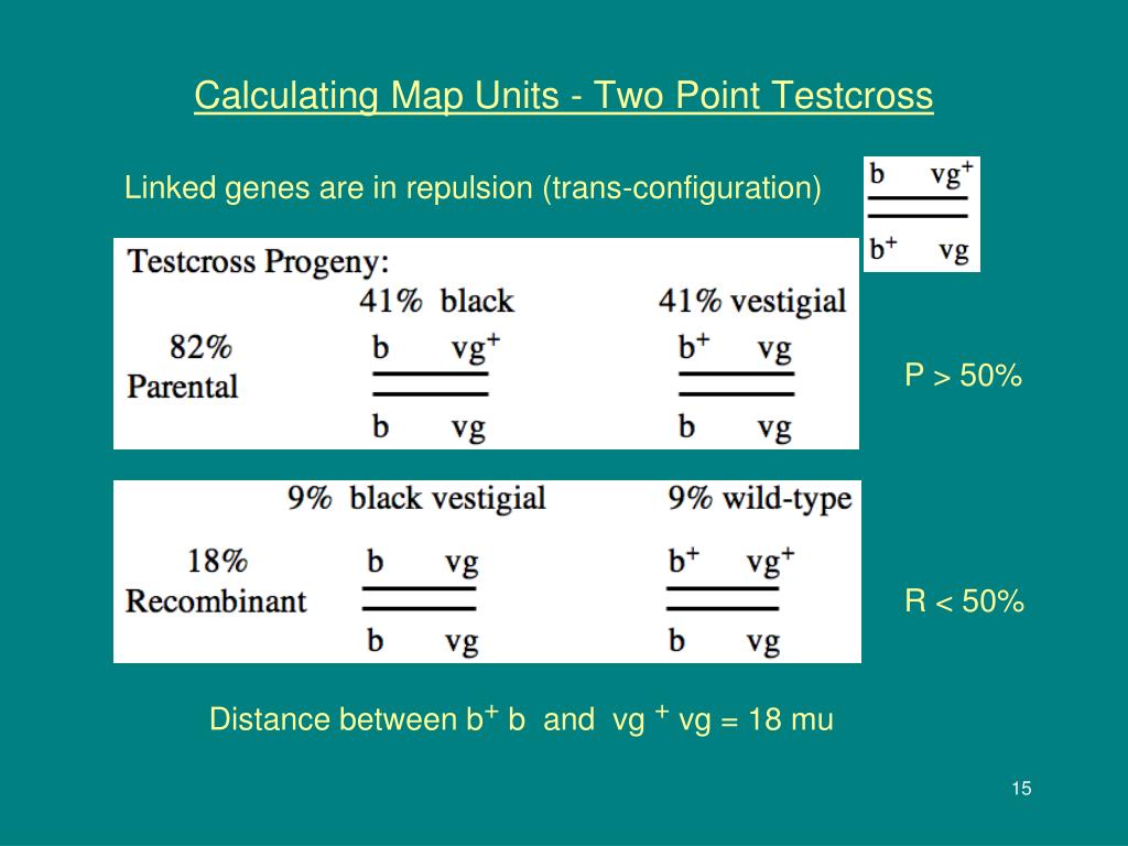 PPT Genetic Mapping PowerPoint Free Download ID 5500586 Calculating Map Units Two Point Testcross3 L 
