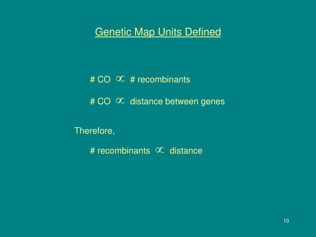 PPT Genetic Mapping PowerPoint Free Download ID 5500586 Genetic Map Units Defined L 