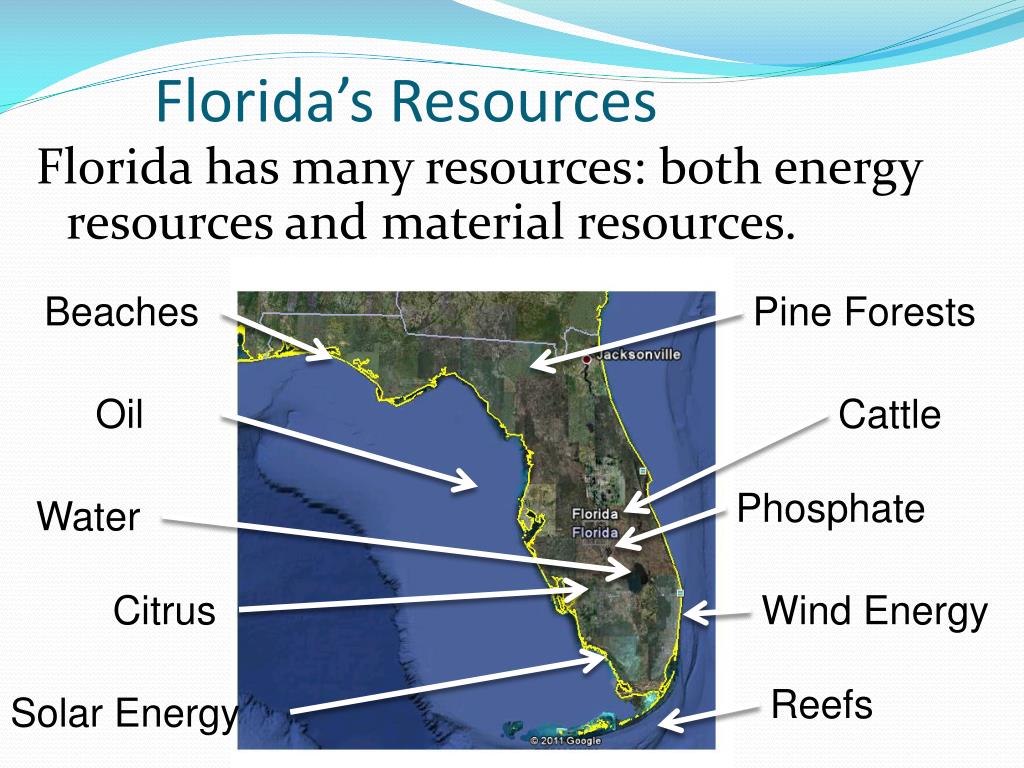 PPT Elementary Science PowerPoint Free Download ID Florida S Resources L 