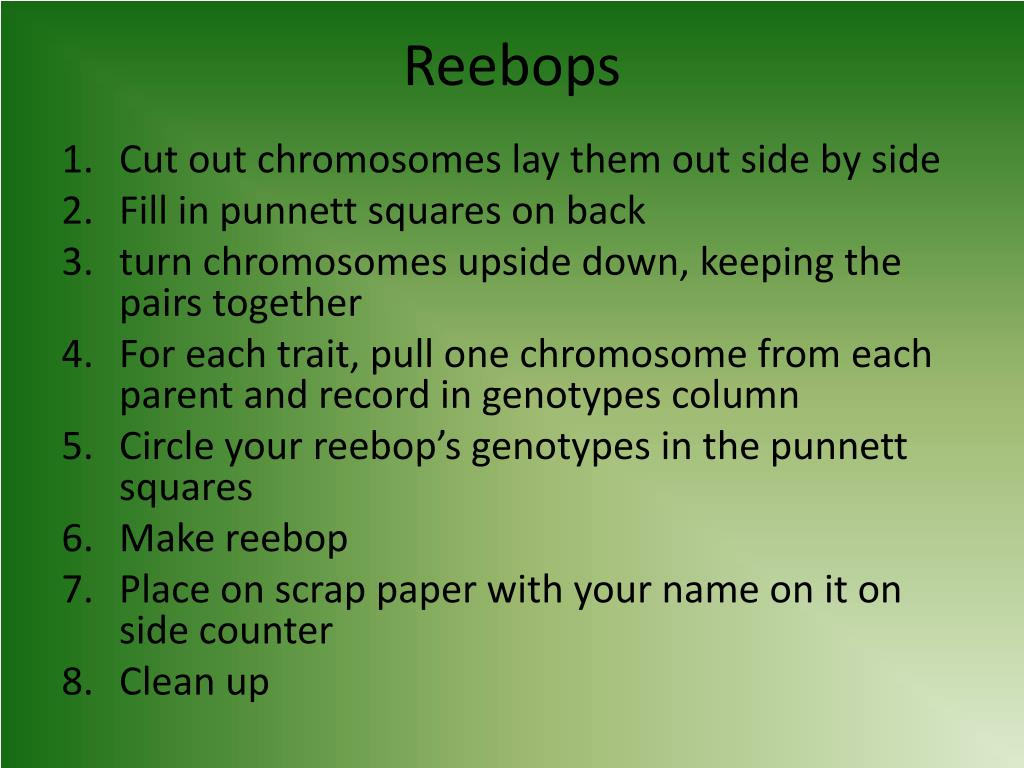 Dihybrid punnett square review · comparing mitosis & meiosis · comparing mitosis & meiosis key · mistakes in meiosis animation · baby reebop breeding · asexual . Ppt Biology Agendas Powerpoint Presentation Free Download Id 6580744