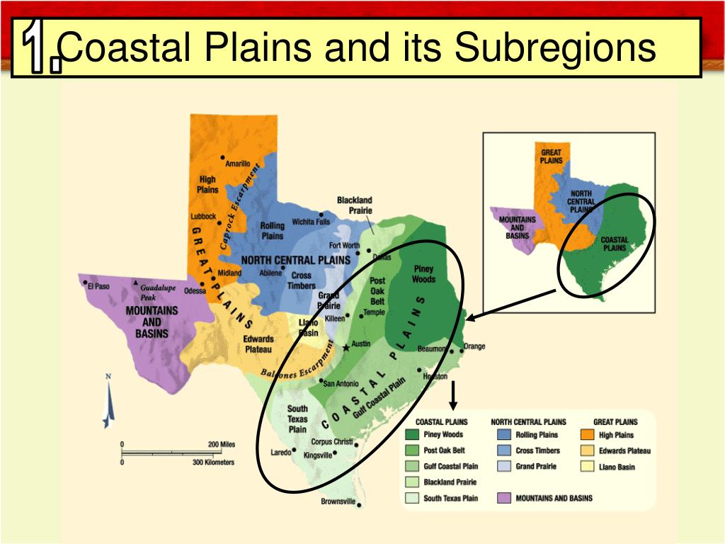 PPT Texas Regions PowerPoint Free Download ID 7004475 Slide7 L 