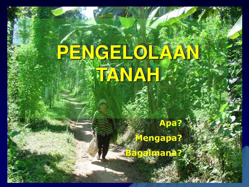 tanah gembur dapat terbentuk sebagai hasil dari penggunaan mulsa secara terus menerus dan / atau pemberian pupuk hijau / pupuk kandang / kompos dari bahan organik yang lain secara terus menerus. Ppt Pengelolaan Tanah Powerpoint Presentation Free Download Id 7005640