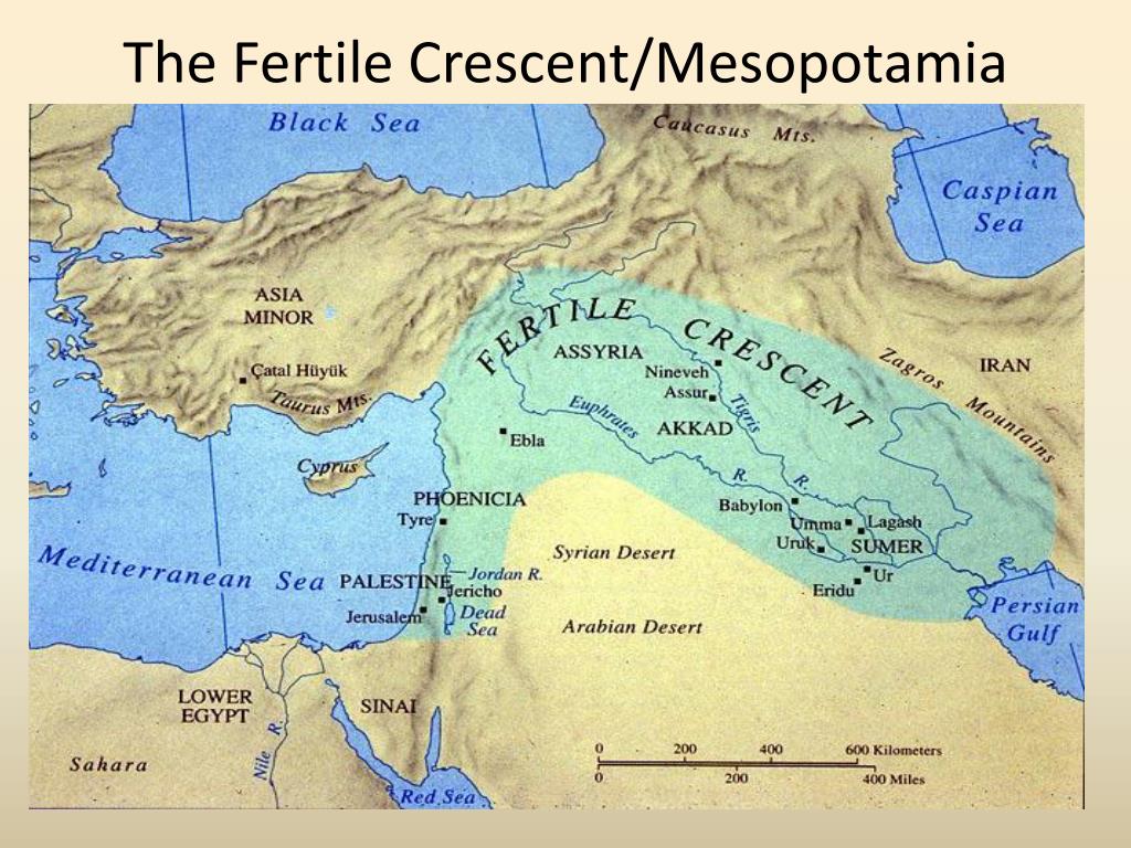 The Map Of Mesopotamia And The Fertile Crescent Came From Matthew Resendes Ancient Mesopotamia Map Mesopotamia Ancient Mesopotamia People formed divisions of labor.