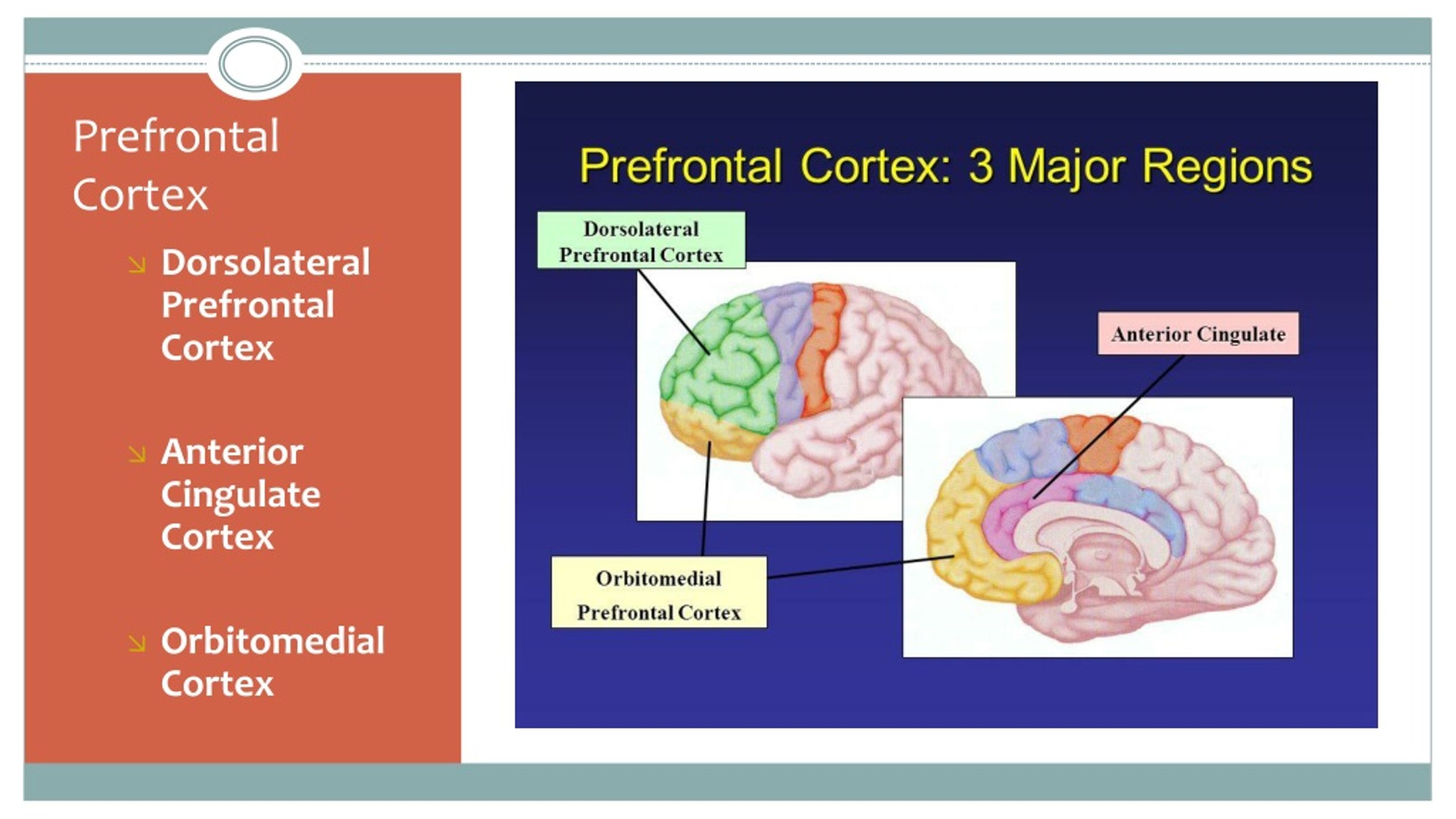 Ppt