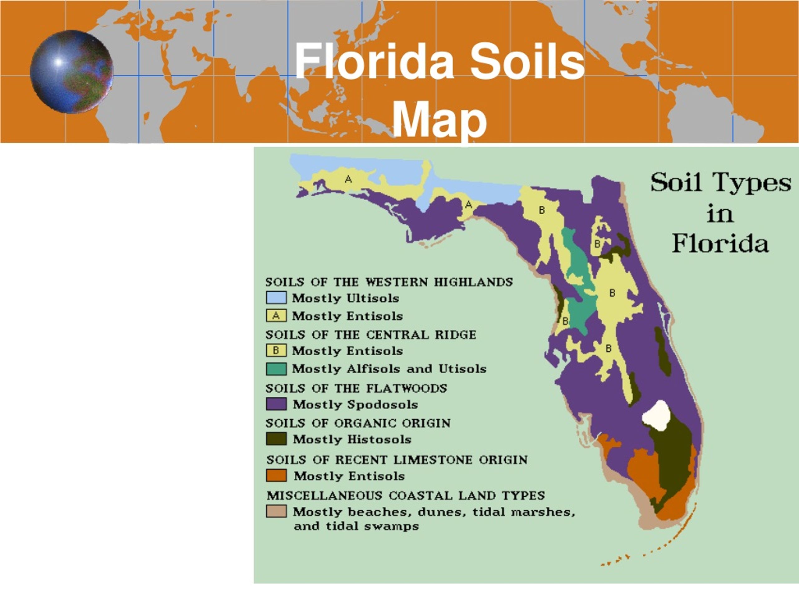 PPT SOILS AND ENVIRONMENT Powerpoint Free Download ID Florida Map L.