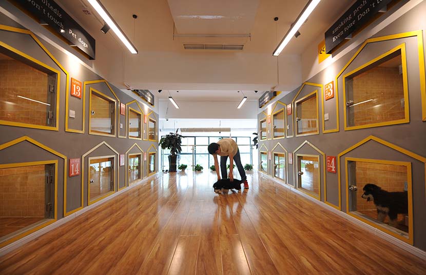 Aa miles 273,185 amex mr 6,575 Holiday Rush Means No Room at Inn for Pets