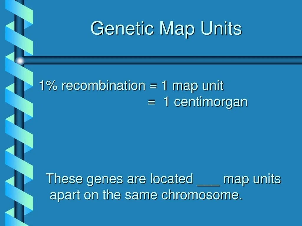 PPT Eukaryotic Chromosome Mapping PowerPoint Free Genetic Map Units L 