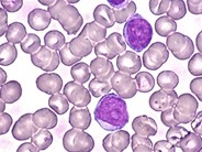 Pll 1 Pptx - Incredible City Picture - 8K