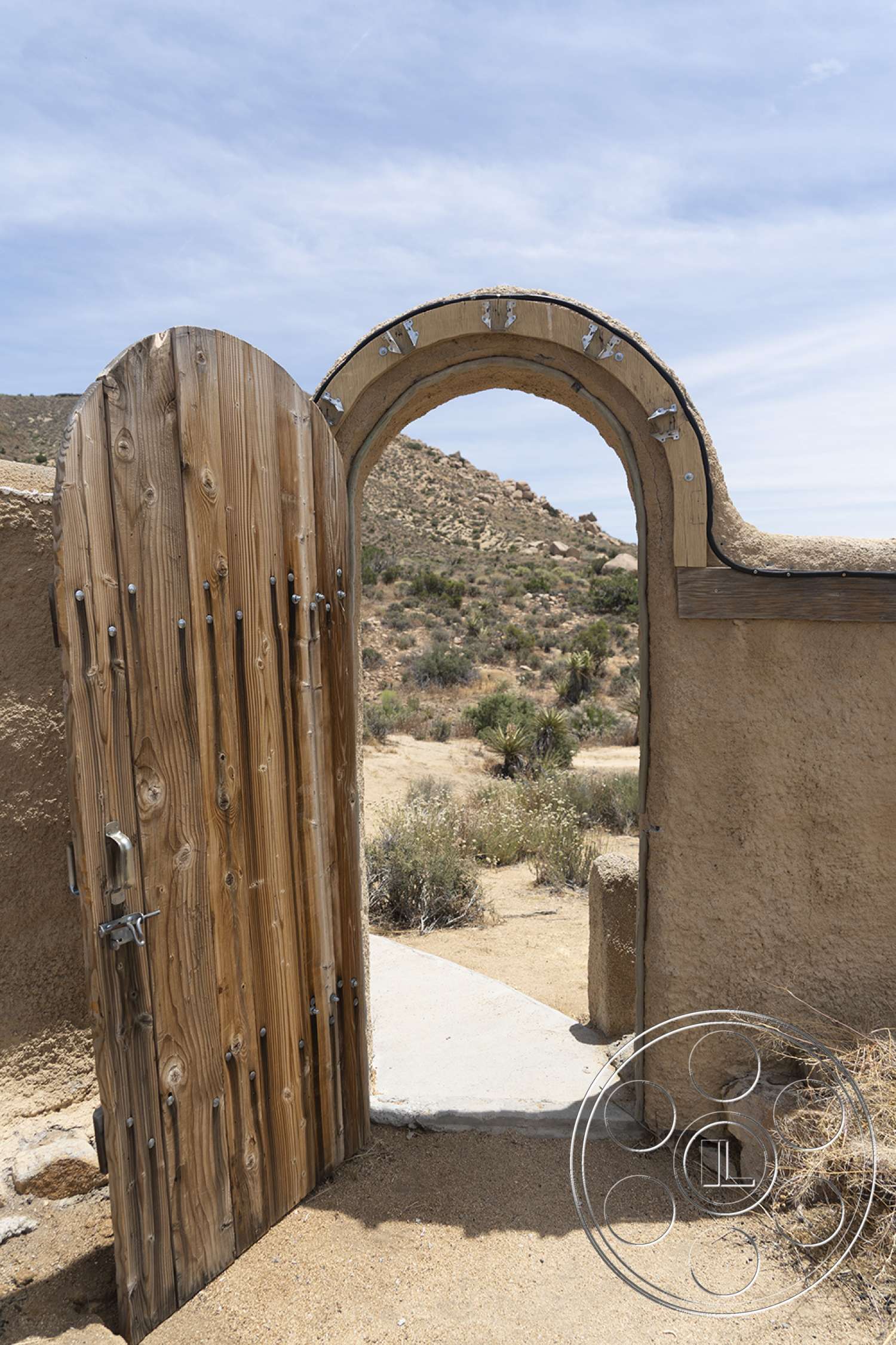 Joshua tree 10