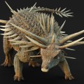Spicomellus afer