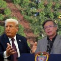 Colombia fue descertificado por Estados Unidos en la lucha antidrogas.