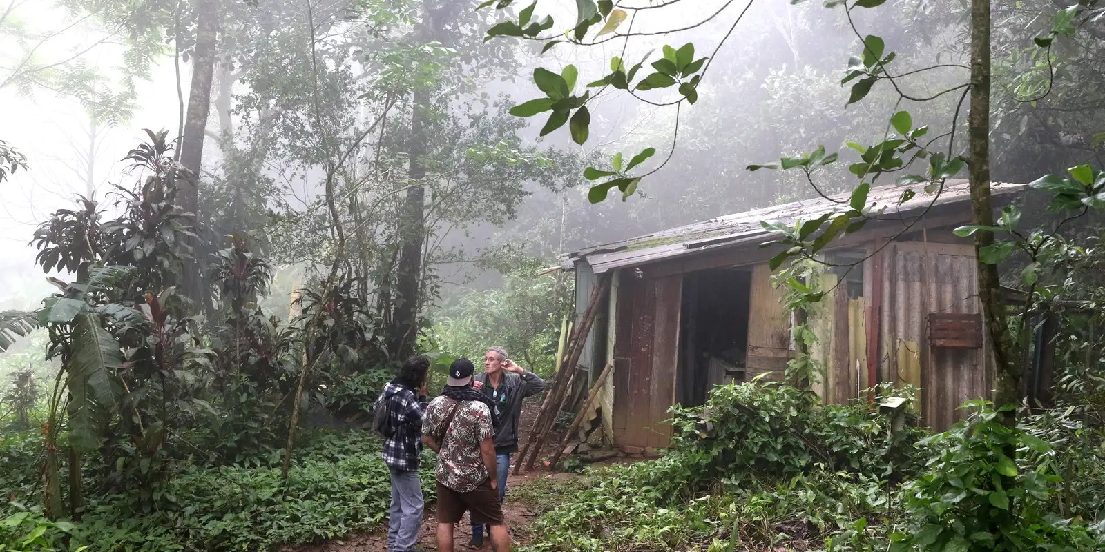 Quilombolas preservam 92% da vegetação nativa na Amazônia