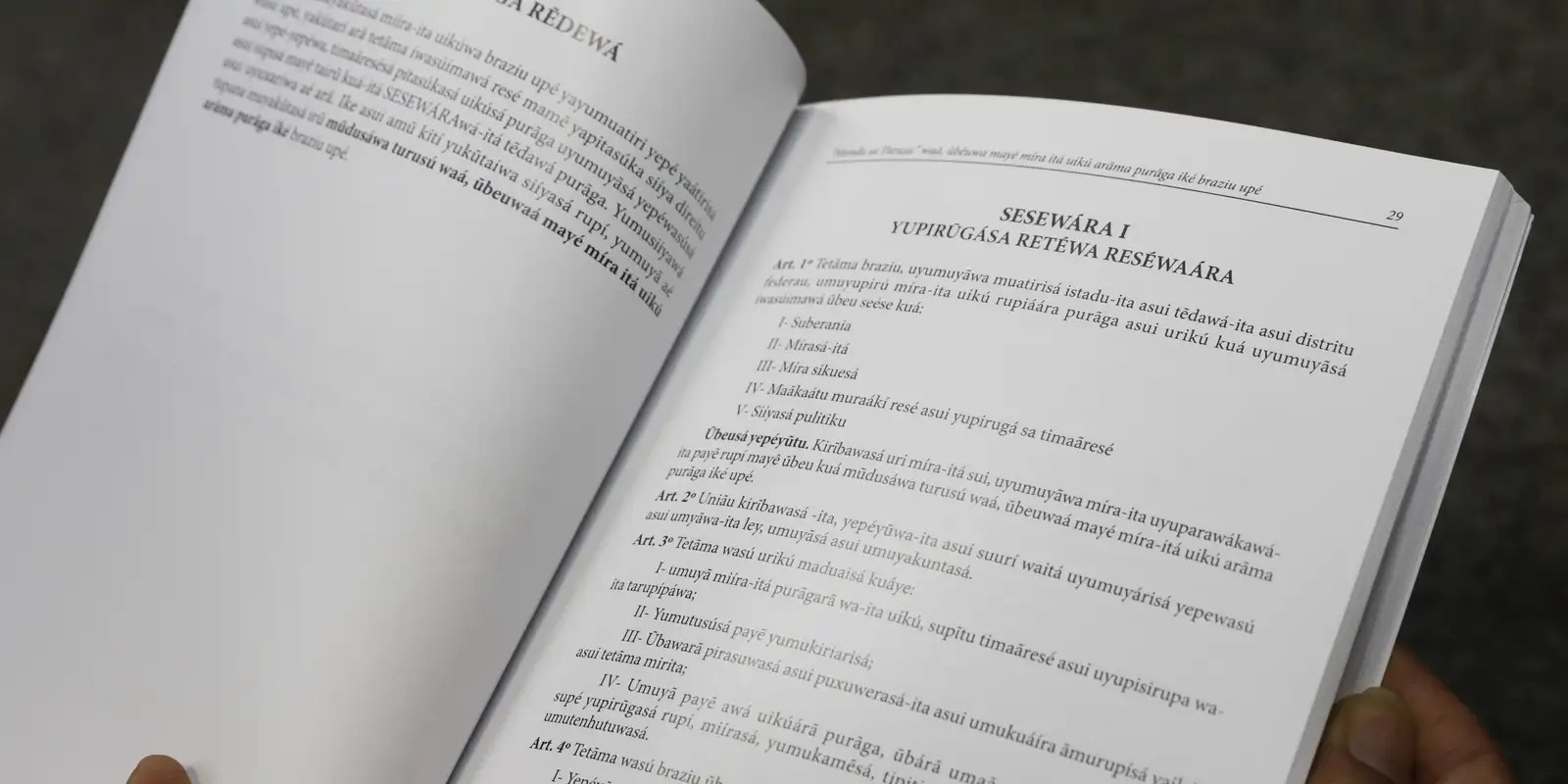 Número de falantes de línguas indígenas aumenta quase 50% em 12 anos