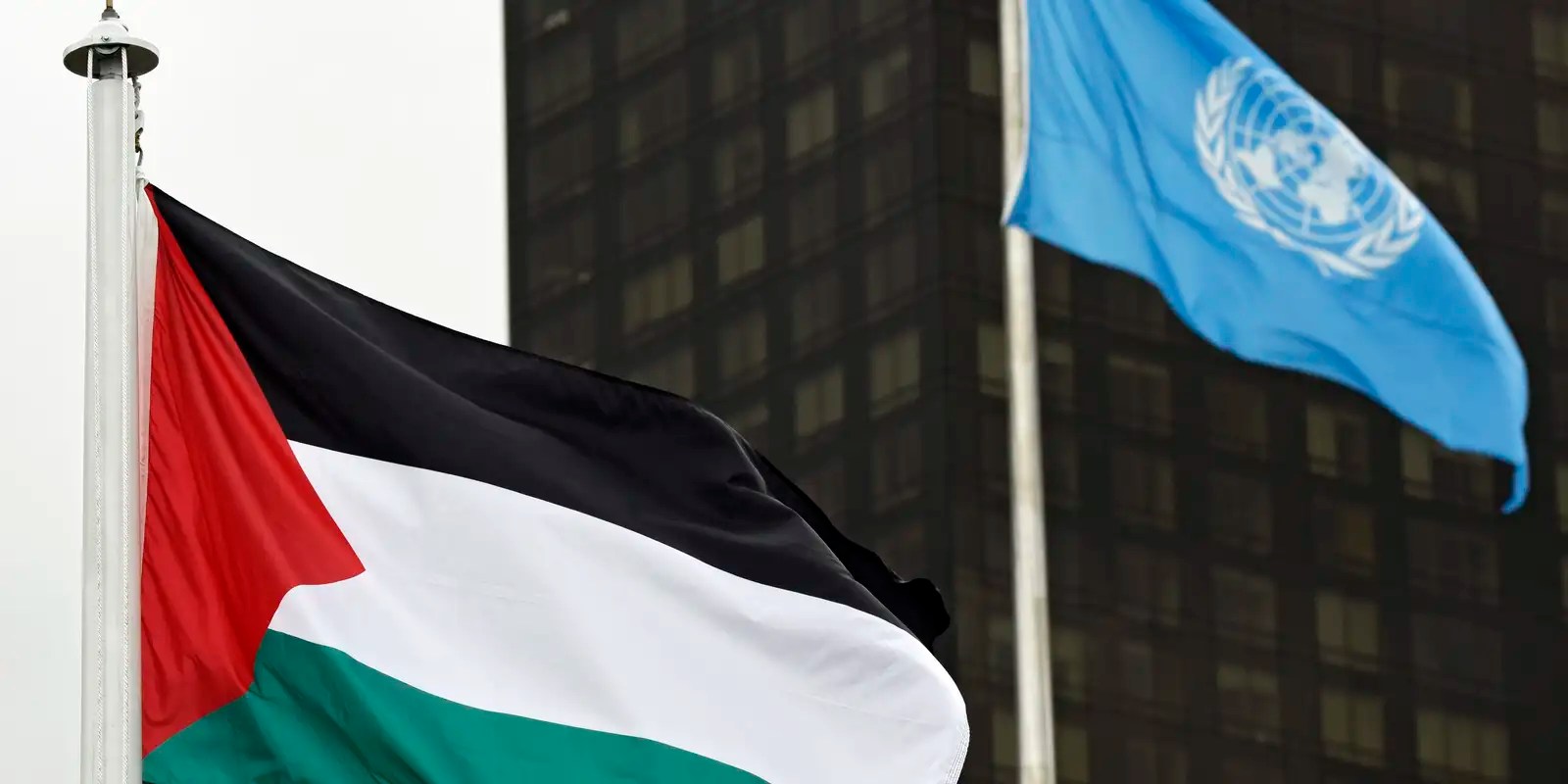 Dia de solidariedade ao povo palestino é celebrado hoje