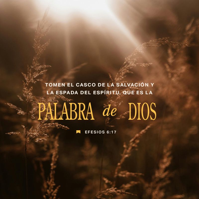 Efesios 6 17 Nvi Bible Image Bible Portal - Abstract Wallpapers - Beautiful 8K Collection