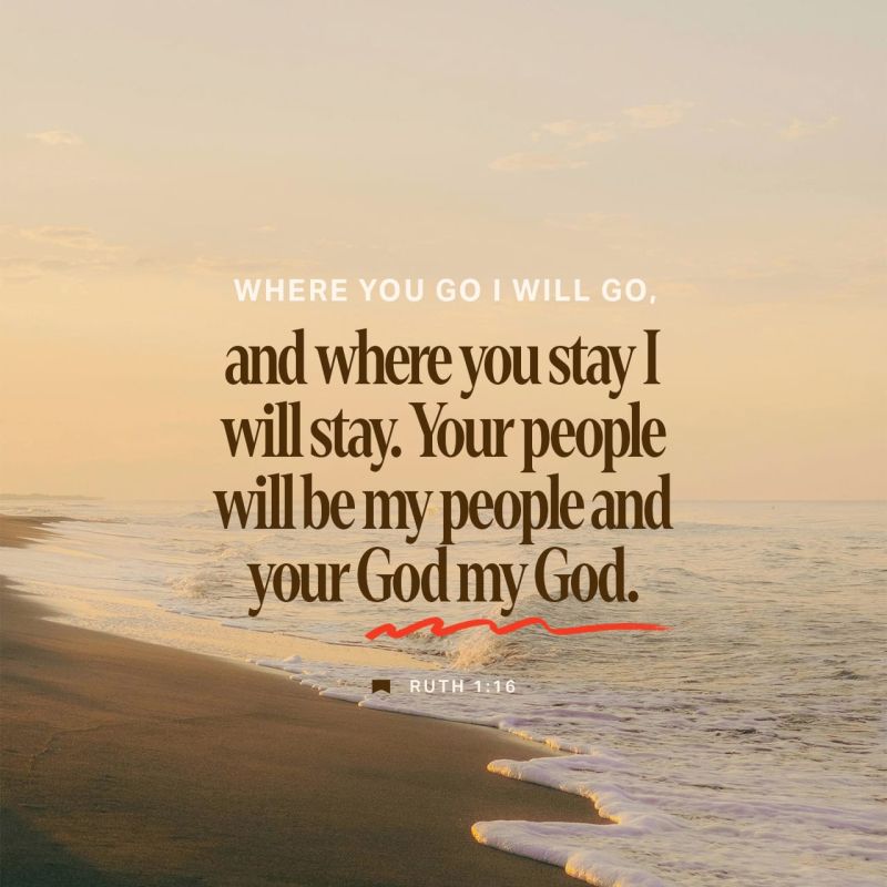 1 14 - Premium Gradient Image Gallery - Retina