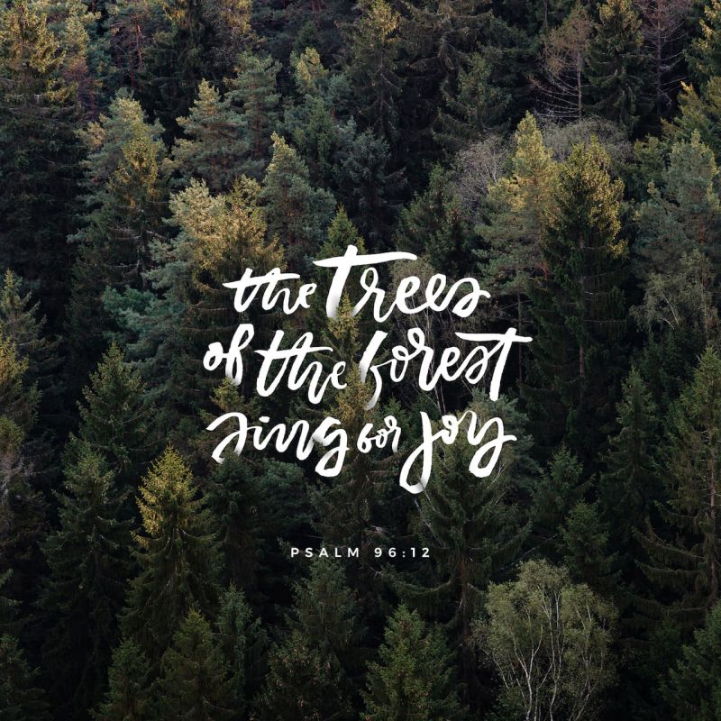 Psalms 96 Niv Bible Youversion - Elegant Abstract Texture - Desktop