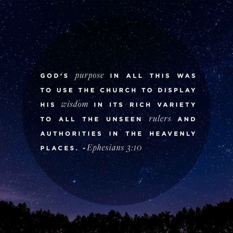 David Suchet Niv Bible 1100 Ephesians 3 - Premium Light Art Gallery - Retina