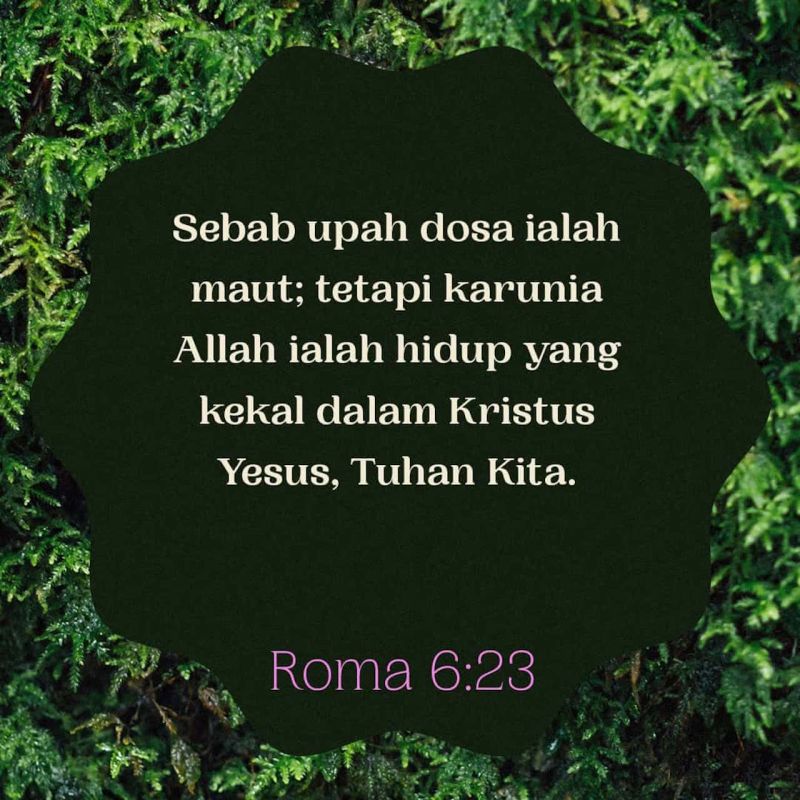 Reflective Rom 6 23a - Download Premium Nature Background | Desktop