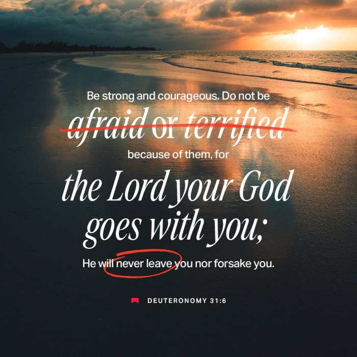Do not Fear For I am with you SVG, Isaiah 41 10 svg, bible quote svg Do not Fear For I am with you SVG, Isaiah 41 10 svg, bible quote svg