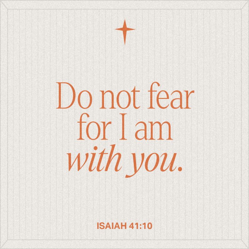 15 41 - Colorful Illustration Collection - Ultra HD Quality