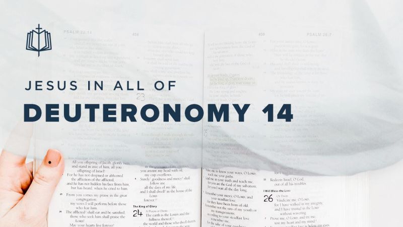 Deuteronomy 14 - Incredible High Resolution Nature Illustrations | Free Download