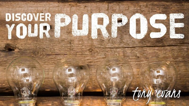 Discover Your Purpose - Premium Dark Wallpaper Gallery - Desktop