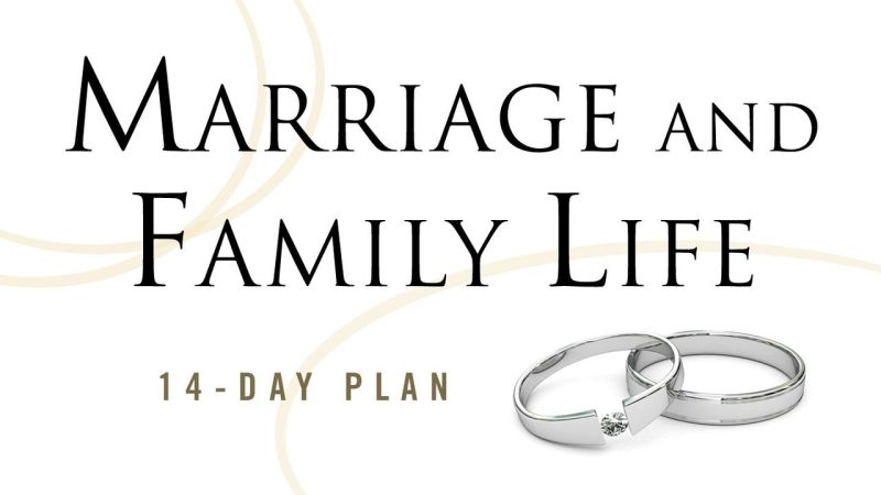 Fully Alive Marriage Devotional Reading Plan Youversion Bible - Space Photo Collection - 8K Quality