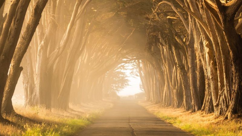 Lima A Pathway To God - Download High Quality Gradient Art | HD