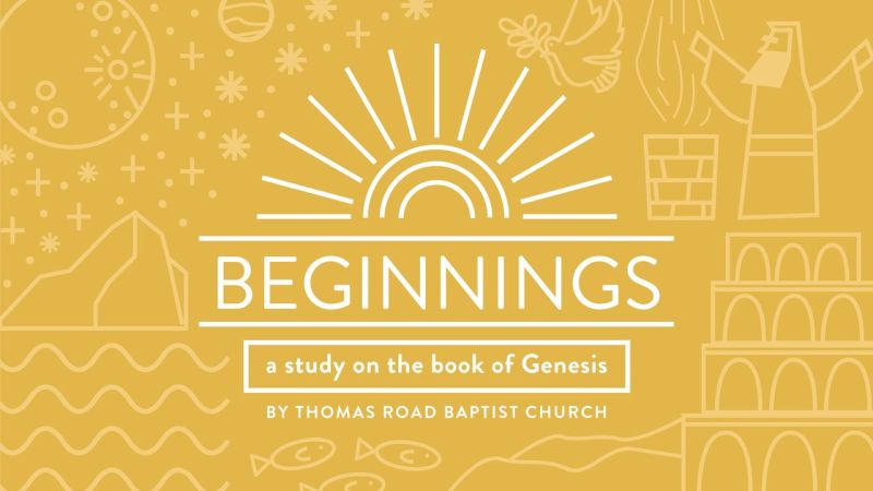 Beginnings A Study In Genesis - Light Photo Collection - Retina Quality