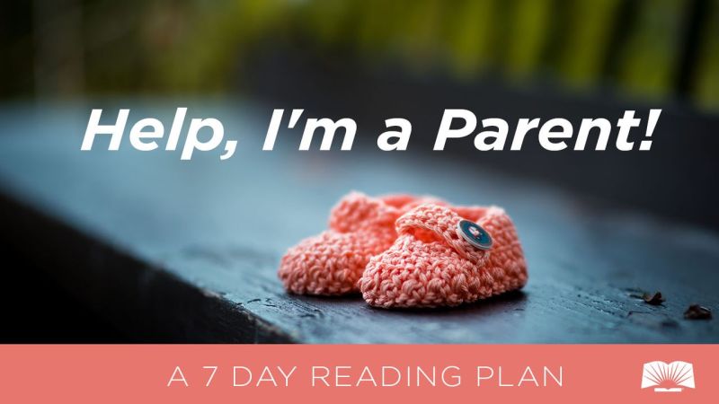 Help I M A Parent - Best Nature Patterns in Ultra HD