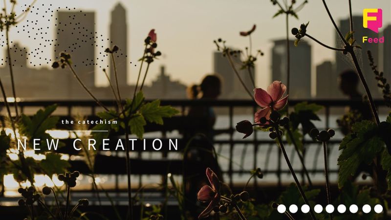 New Creation Videos Youversion - Landscape Photos - Stunning Retina Collection