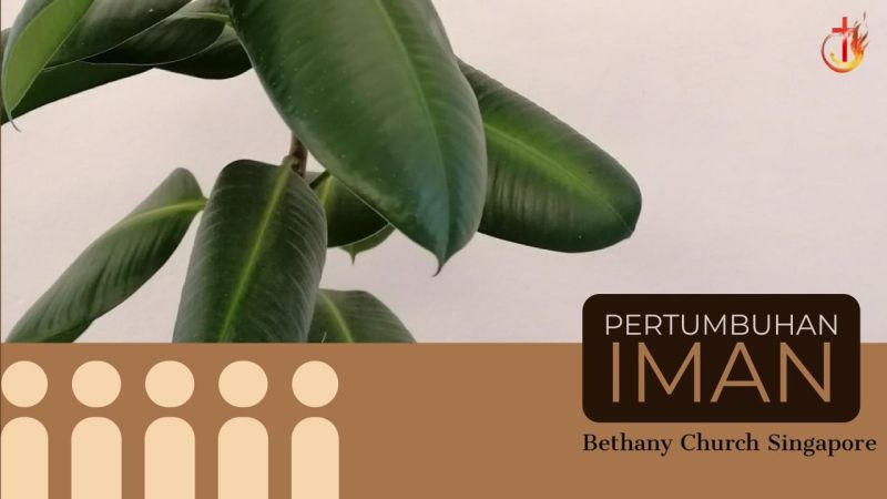 Pertumbuhan Iman Pdf - Creative 4K Mountain Illustrations | Free Download