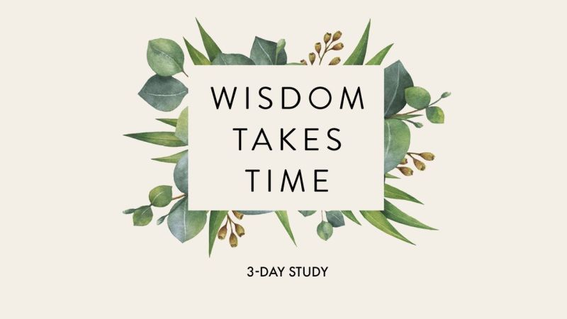 Wisdom A Study In Proverbs - Light Background Collection - Retina Quality