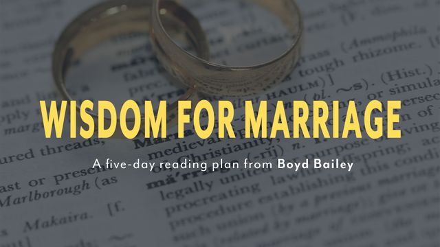 Fully Alive Marriage Devotional Reading Plan Youversion Bible - Beautiful 8K Abstract Photos | Free Download