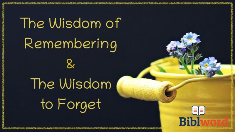 Remembering Wisdom - Minimal Photo Collection - Ultra HD Quality